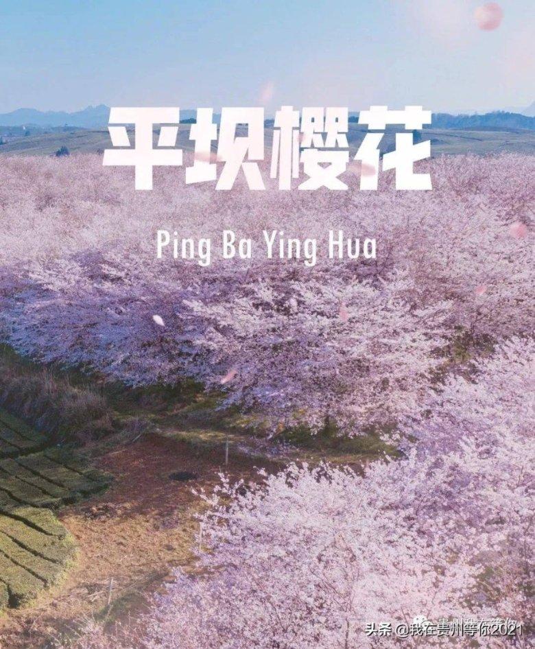 宁乡西部山区开始飘雪！各部门积极防范应对低温雨雪冰冻天气